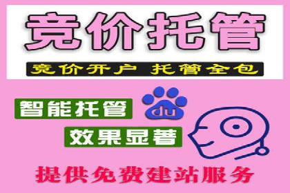 SEM代运营机构成功案例：优化策略与效果分析